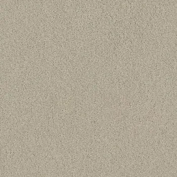 Draufsicht Girloon TWIN Teppichboden Velours 820 Beige, 2/4 m breit